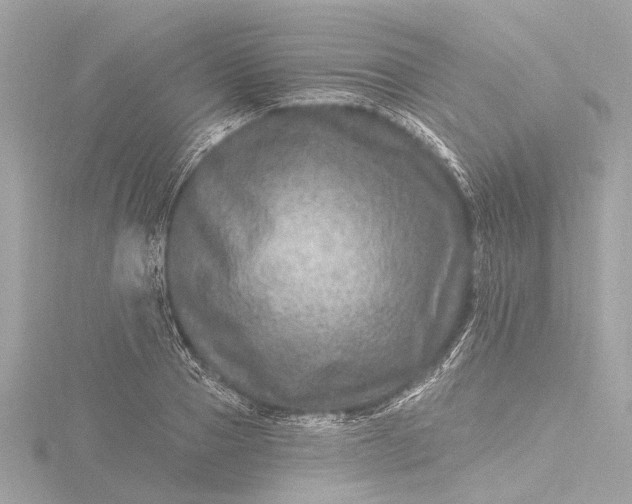 X0000116450937200912221541