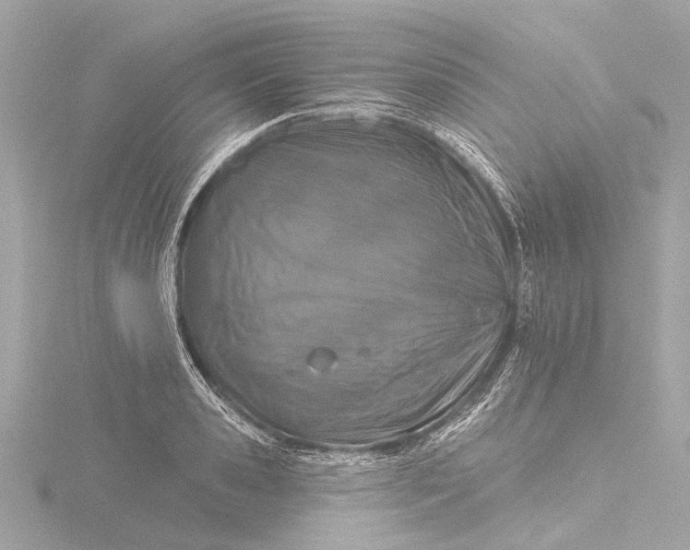 X0000116450941200912221541