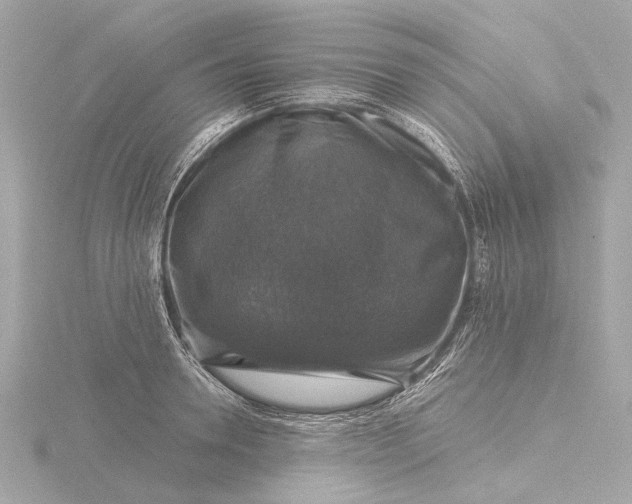 X0000116450946200912221541