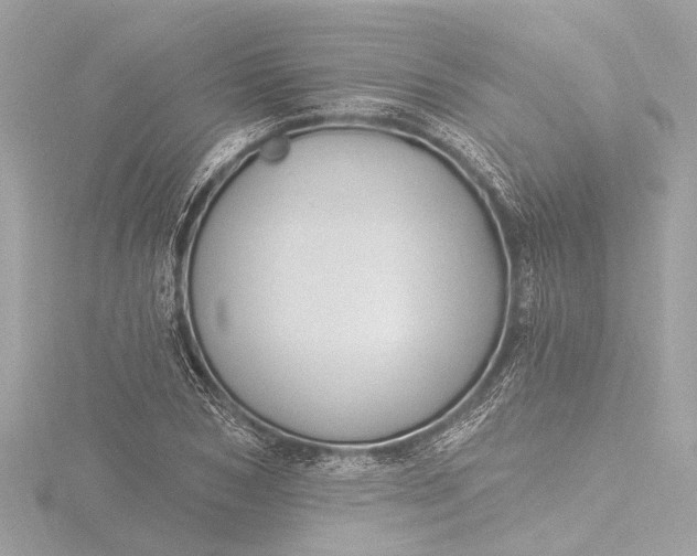 X0000116450978200912221541