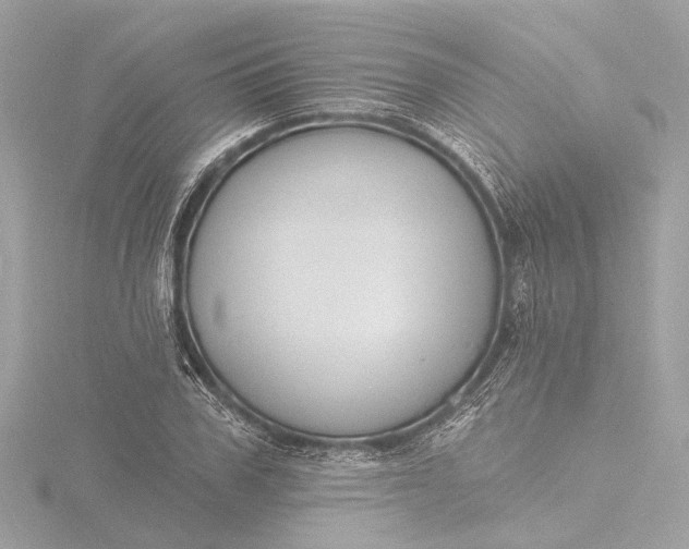 X0000116450979200912221541