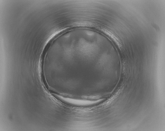 X0000116450983200912221541