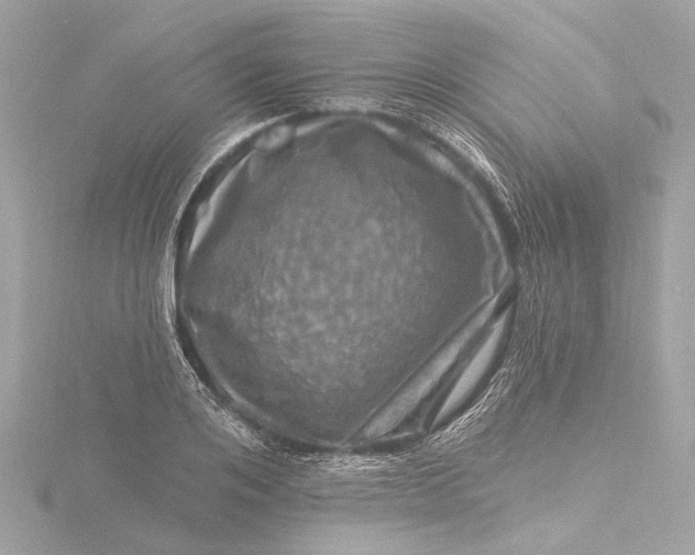 X0000116450984200912221541