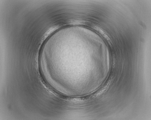 X0000116450986200912221541