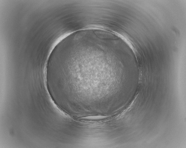 X0000116451003200912221540