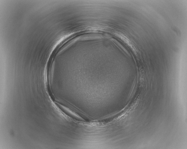 X0000116451032200912221540