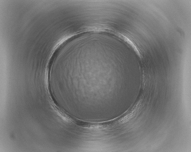 X0000116451035200912221540