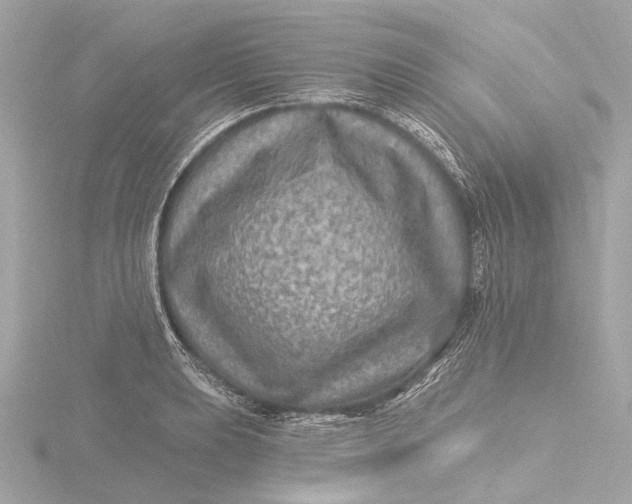 X0000116451039200912221540