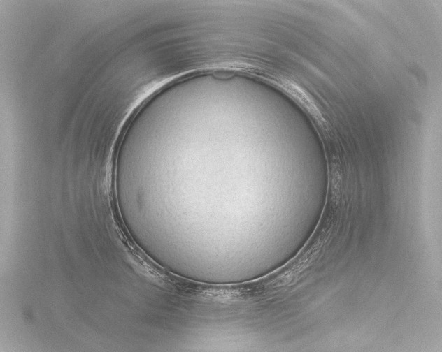 X0000116451044200912221540