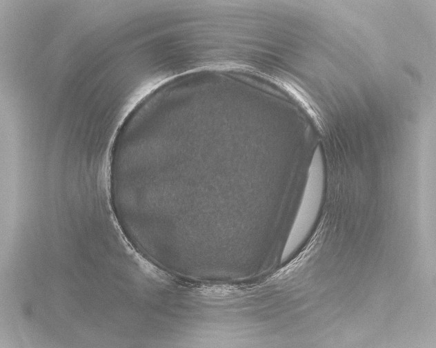 X0000116451046200912221540