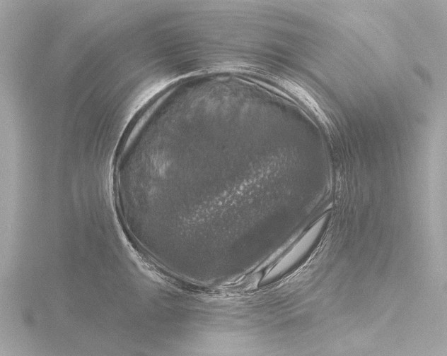 X0000116451047200912221540