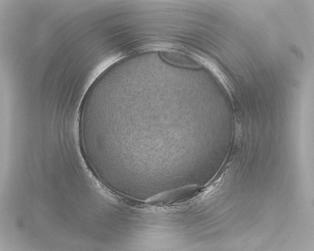 X0000116451050200912221540