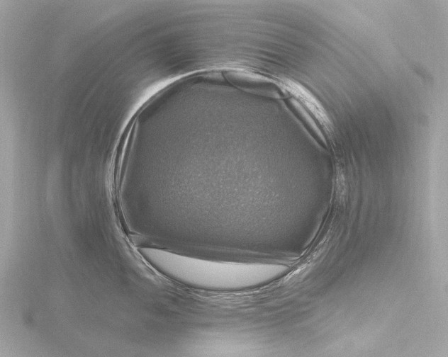 X0000116451052200912221540