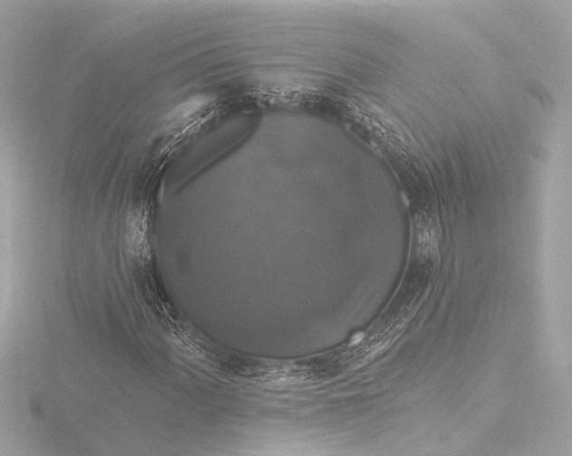 X0000116451060200912221540