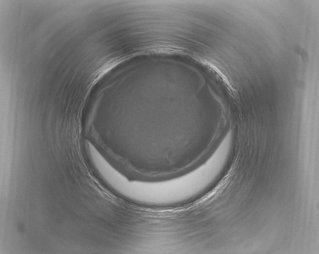 X0000116451065200912221540