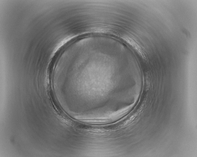 X0000116451070200912221540