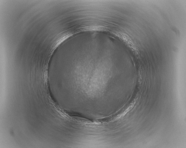 X0000116451073200912221540