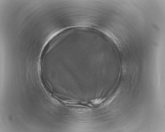 X0000116451077200912221539