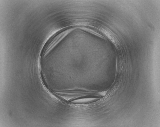 X0000116451084200912221539