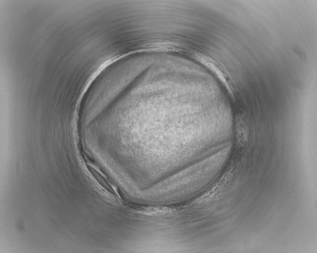 X0000116451091200912221539
