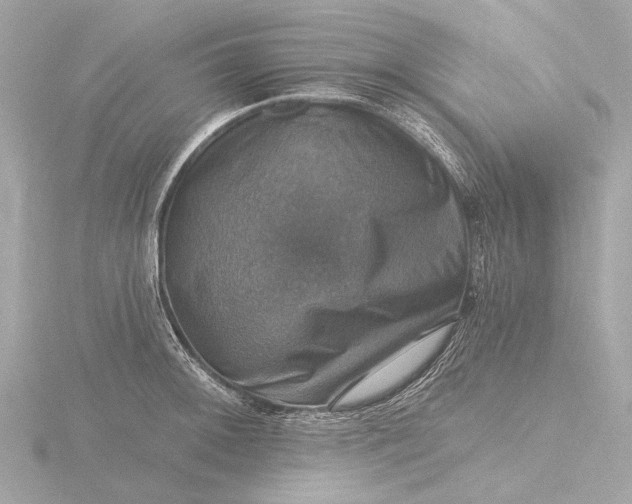 X0000116451092200912221539