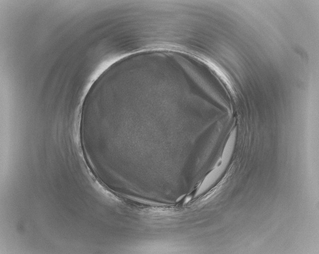 X0000116451102200912221539