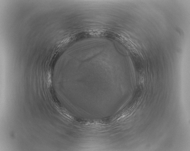 X0000116451106200912221539