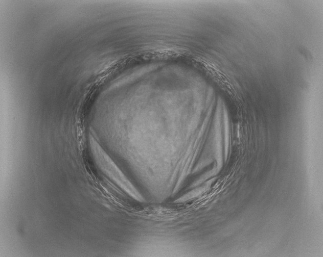 X0000116451109200912221539