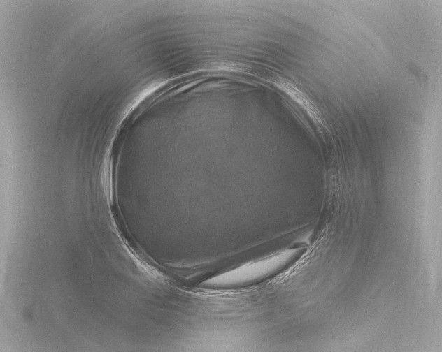 X0000116451127200912221539