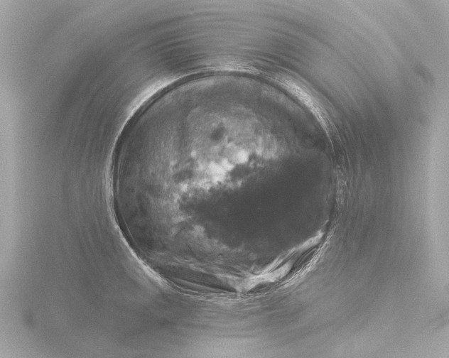 X0000116451141200912221539