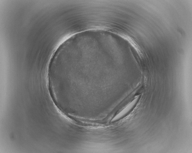 X0000116451143200912221539
