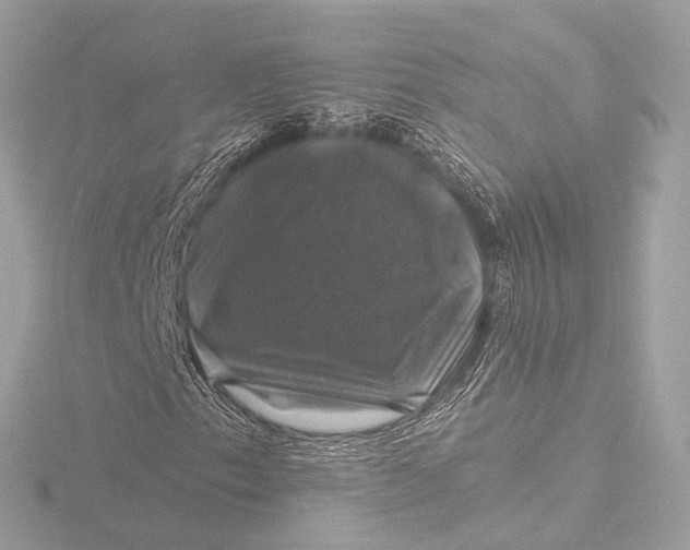 X0000116451153200912221539