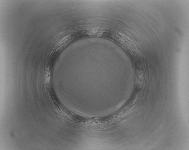 X0000116451154200912221538