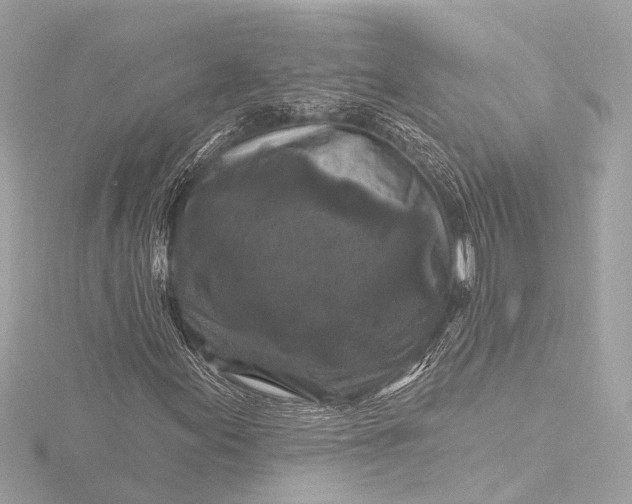 X0000116451155200912221538