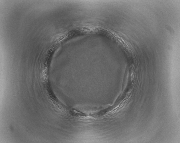 X0000116451156200912221538