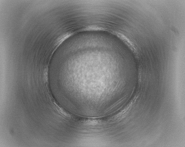 X0000116451177200912221538