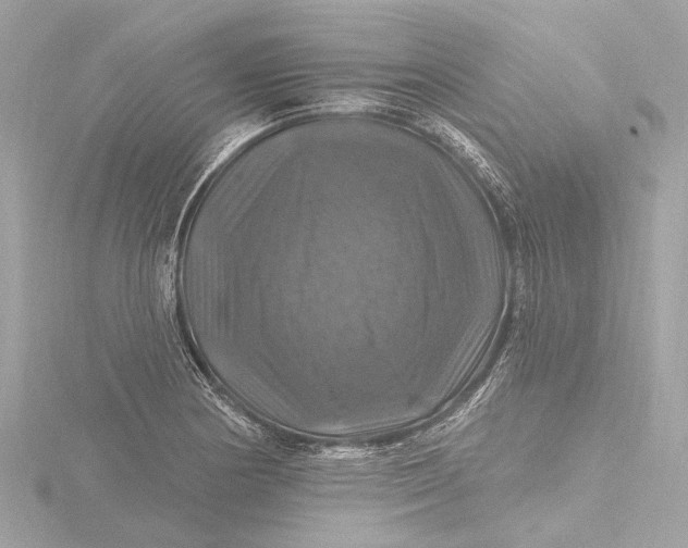 X0000116451178200912221538