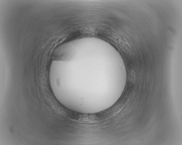 X0000116451201200912221537