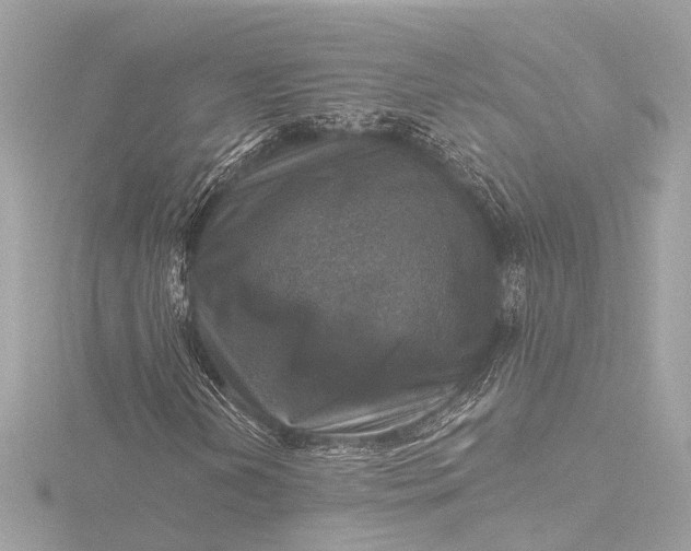 X0000116451202200912221537