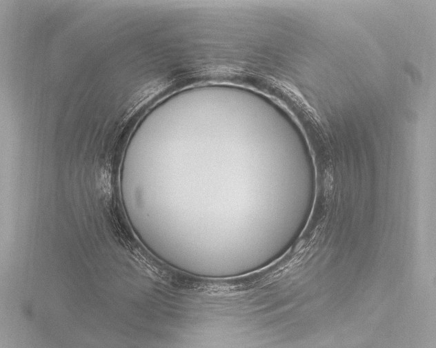 X0000116451209200912221537