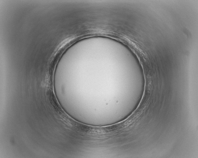 X0000116451215200912221537