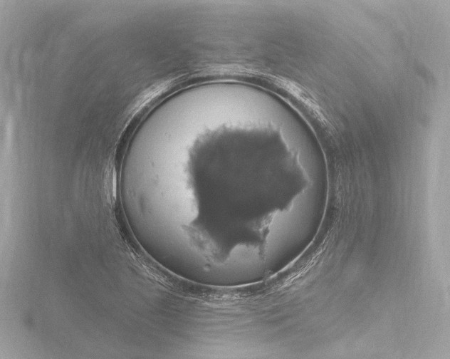 X0000116451221200912221538