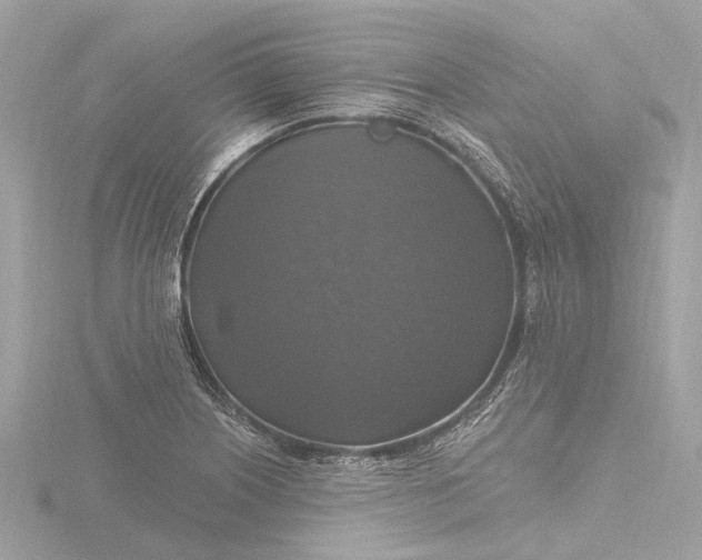 X0000116451226200912221538