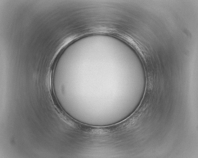 X0000116451227200912221538