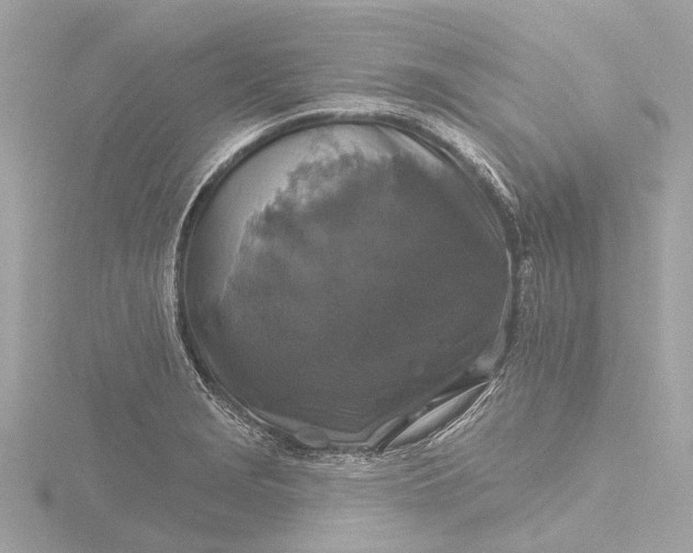 X0000116451229200912221538