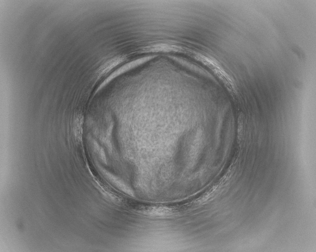 X0000116451233200912221538