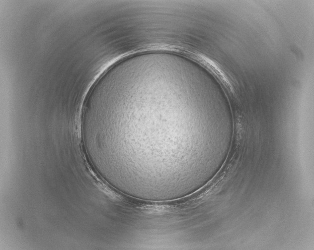 X0000116451236200912221538