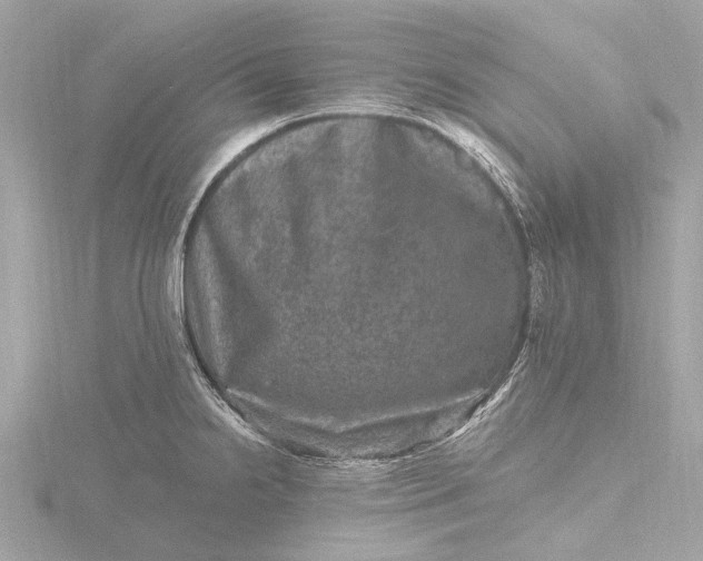 X0000116451238200912221538