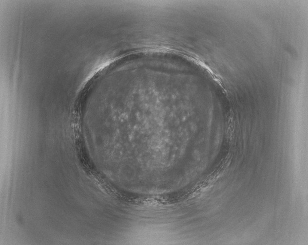 X0000116451255200912221537