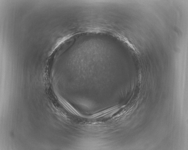 X0000116451256200912221537